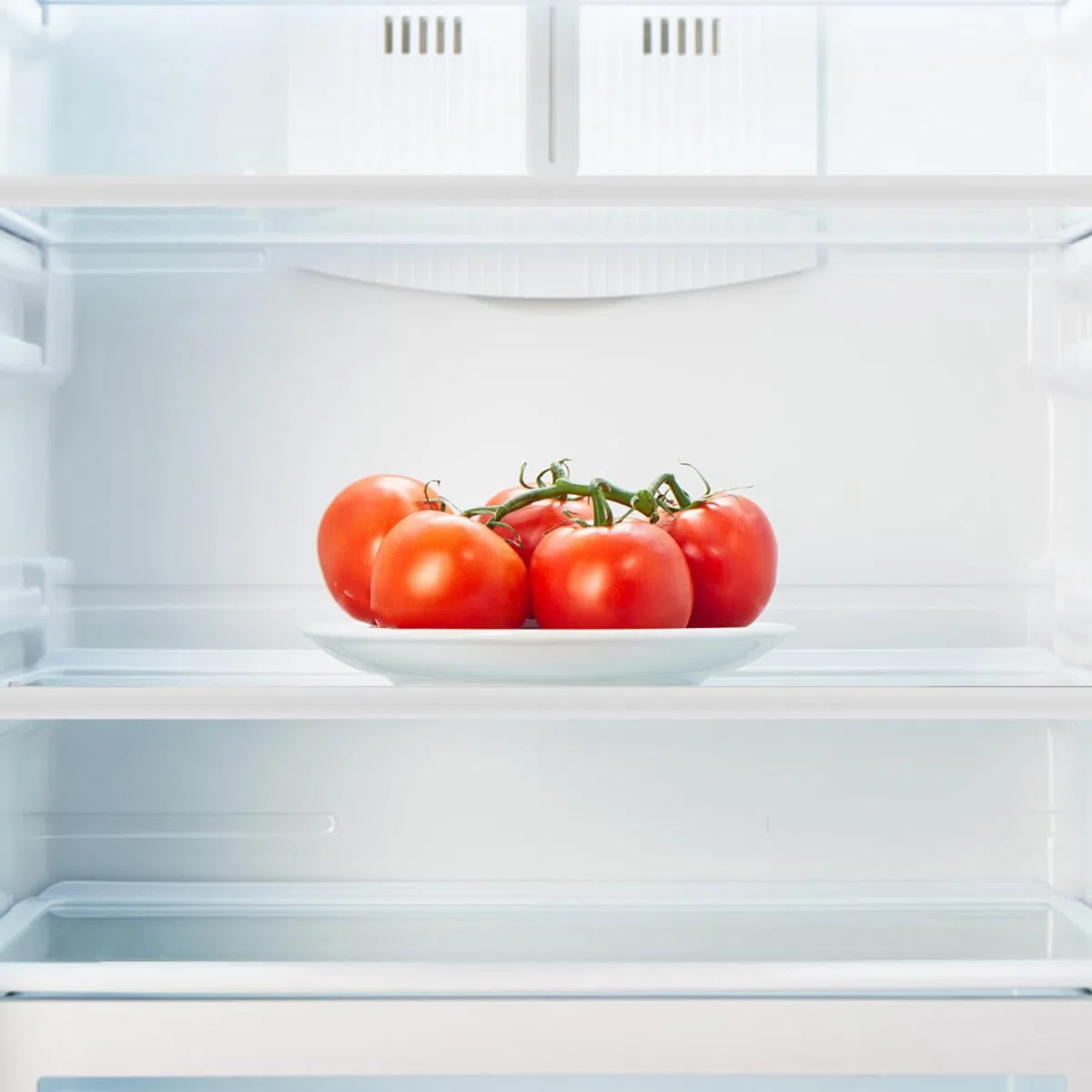 KOMBIUDA Kühlschrank-glasablage aus Gehärtetem Glas Robustes Ersatzteil für Home Refrigerator Einfache Installation ohne Werkzeug Vielseitiger Kühlschrank-teiler für Geordnete Lagerung